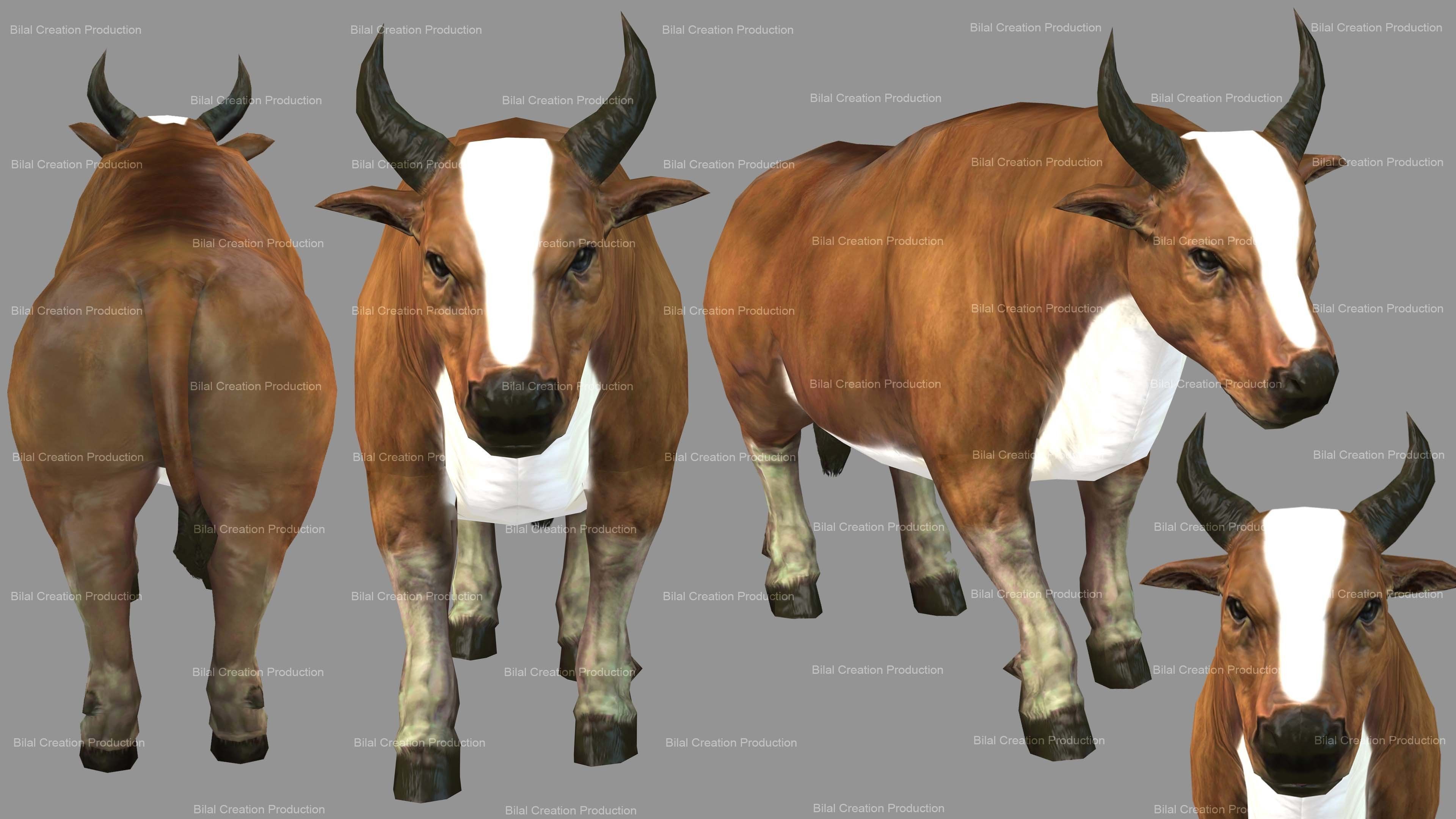 QURBANI ANIMATED ANIMALS 9 3D Model Collection_7