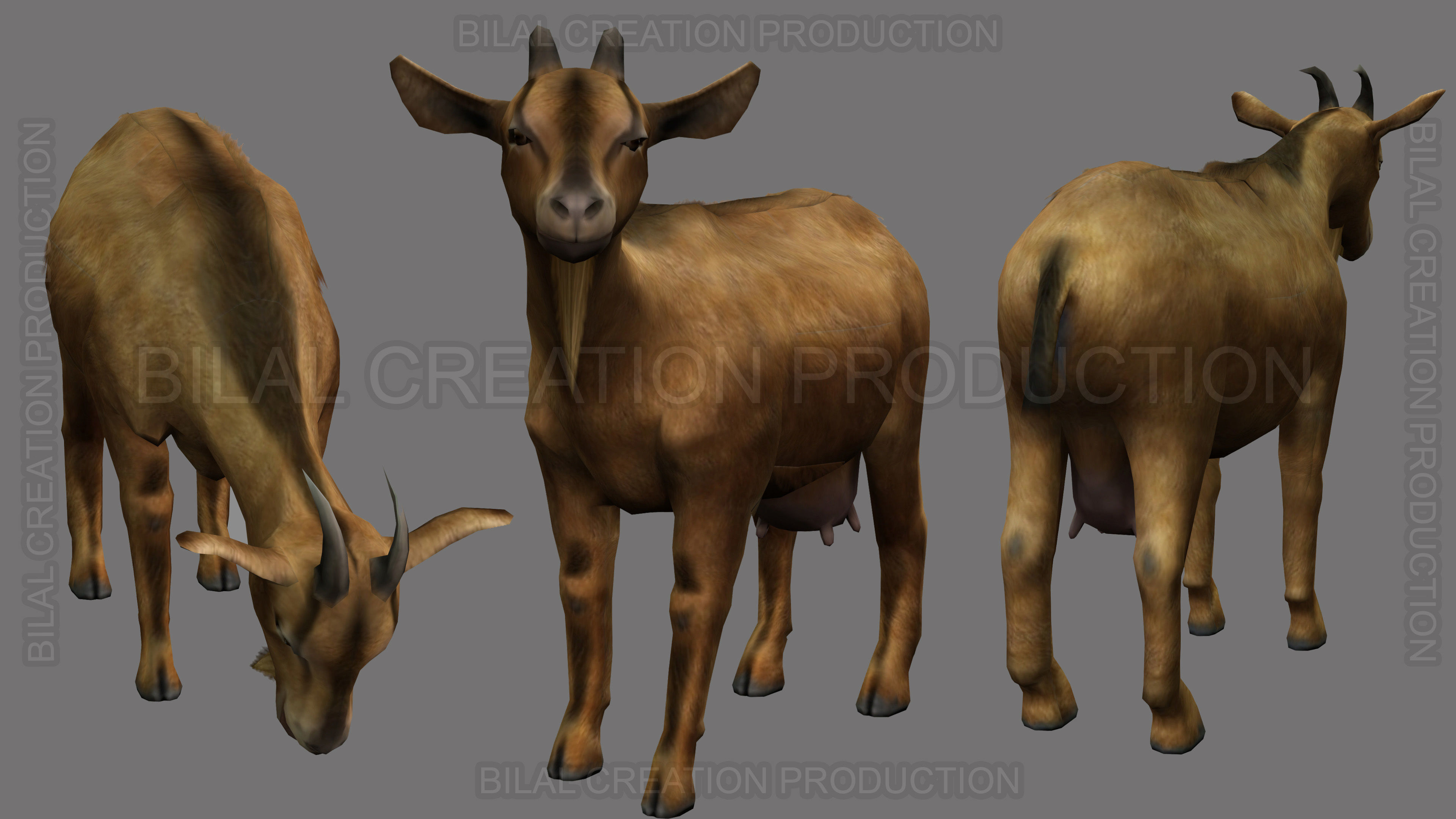 QURBANI ANIMATED ANIMALS 9 3D Model Collection_9