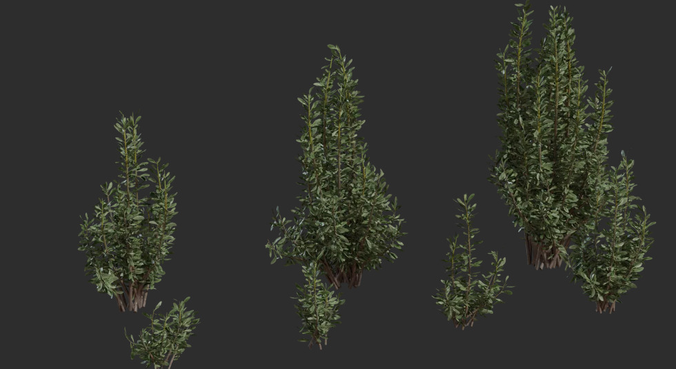 PlantPack180Models8KPBR 3D model_5
