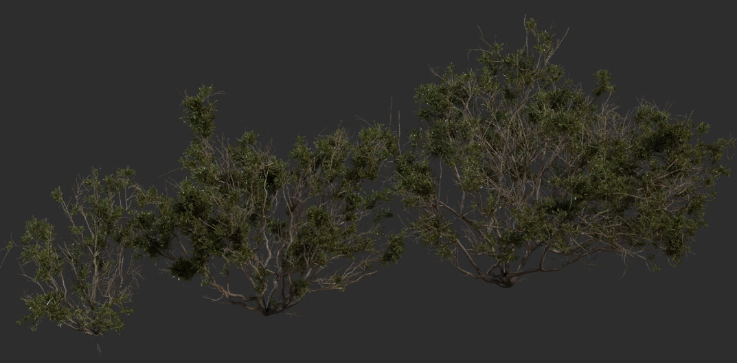 PlantPack180Models8KPBR 3D model_4