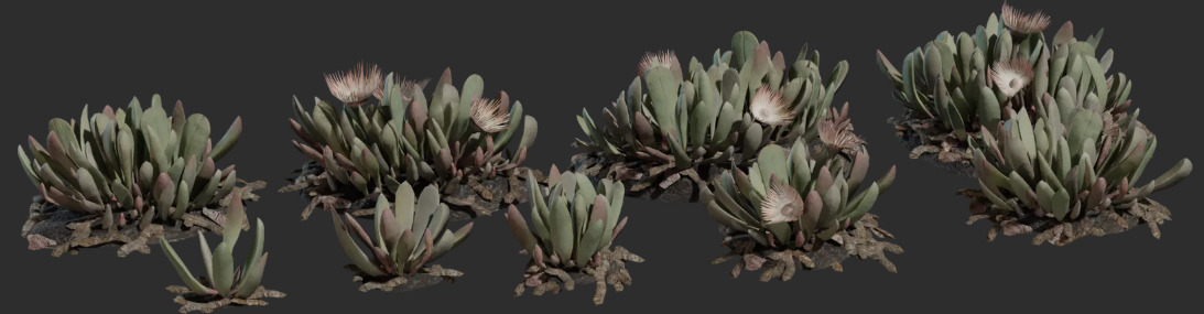 PlantPack180Models8KPBR 3D model_2