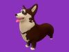 Stylized Brown Corgy  Grey Bulldog Brown Husky 3D Model Collection_1