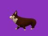 Stylized Brown Corgy  Grey Bulldog Brown Husky 3D Model Collection_2