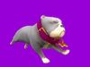 Stylized Brown Corgy  Grey Bulldog Brown Husky 3D Model Collection_4