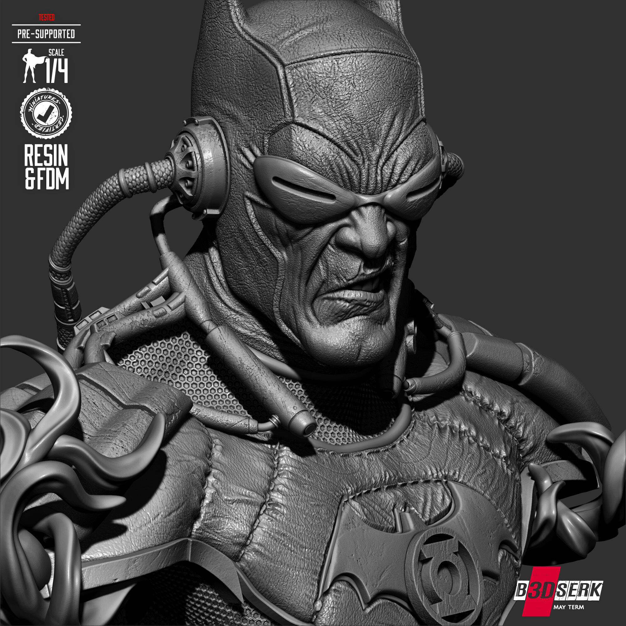 B3DSERK Dawnbreaker Portrait Bust 3D print model_21