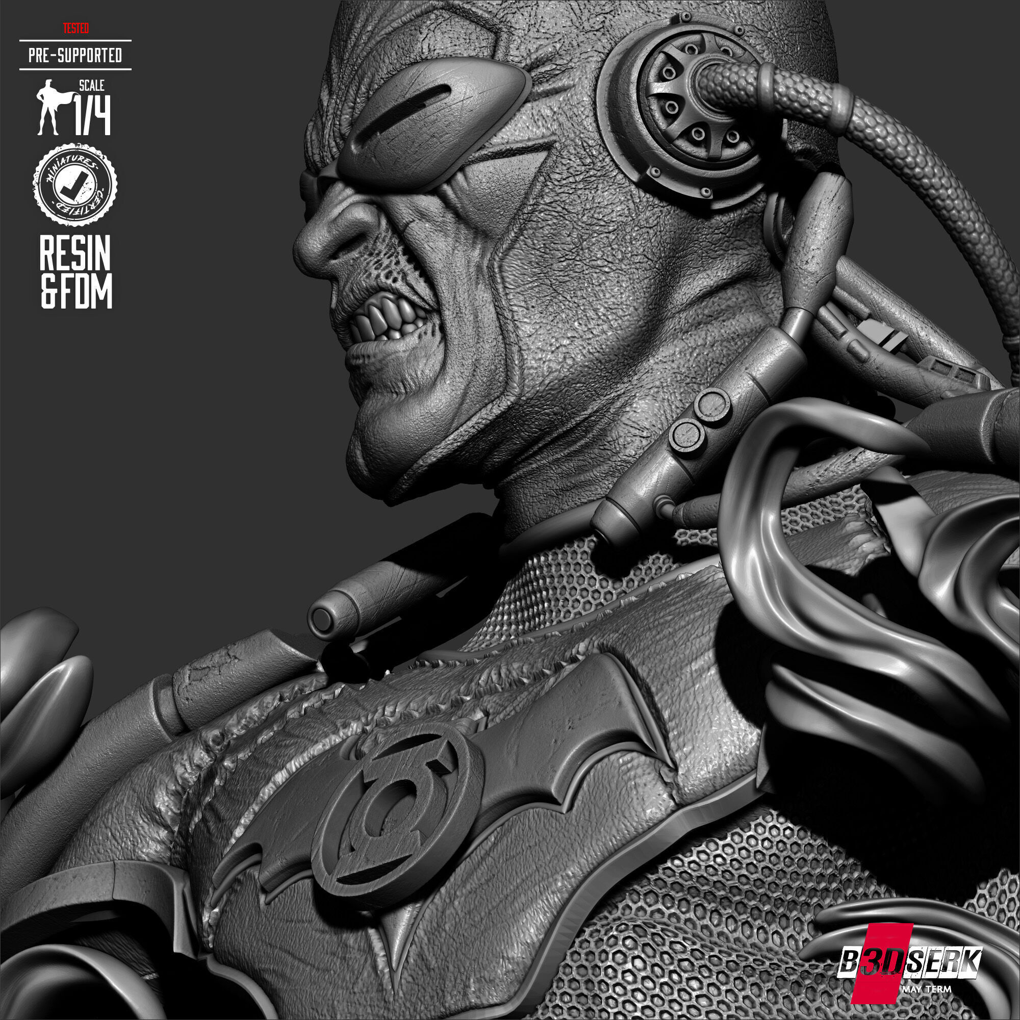 B3DSERK Dawnbreaker Portrait Bust 3D print model_17