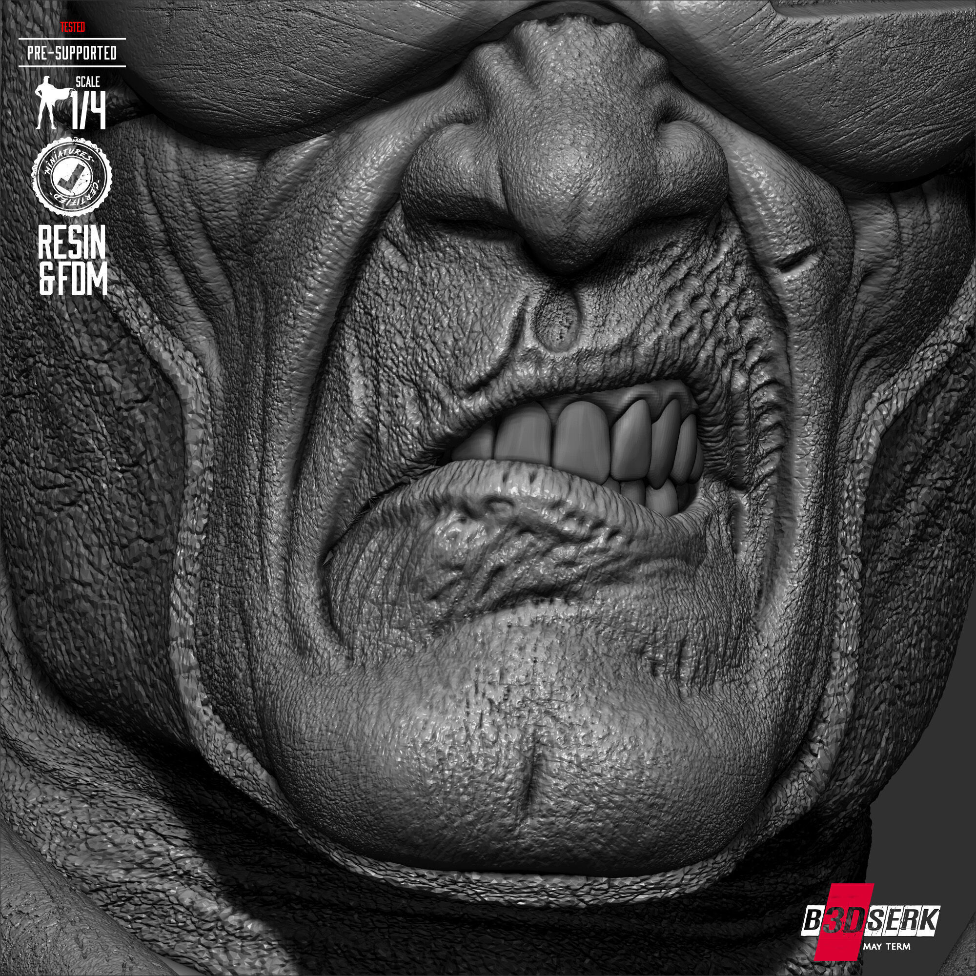 B3DSERK Dawnbreaker Portrait Bust 3D print model_29