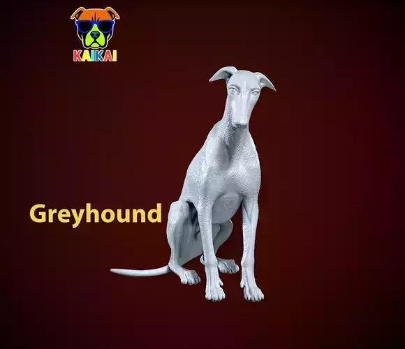 Greyhound Dog model - 3D print