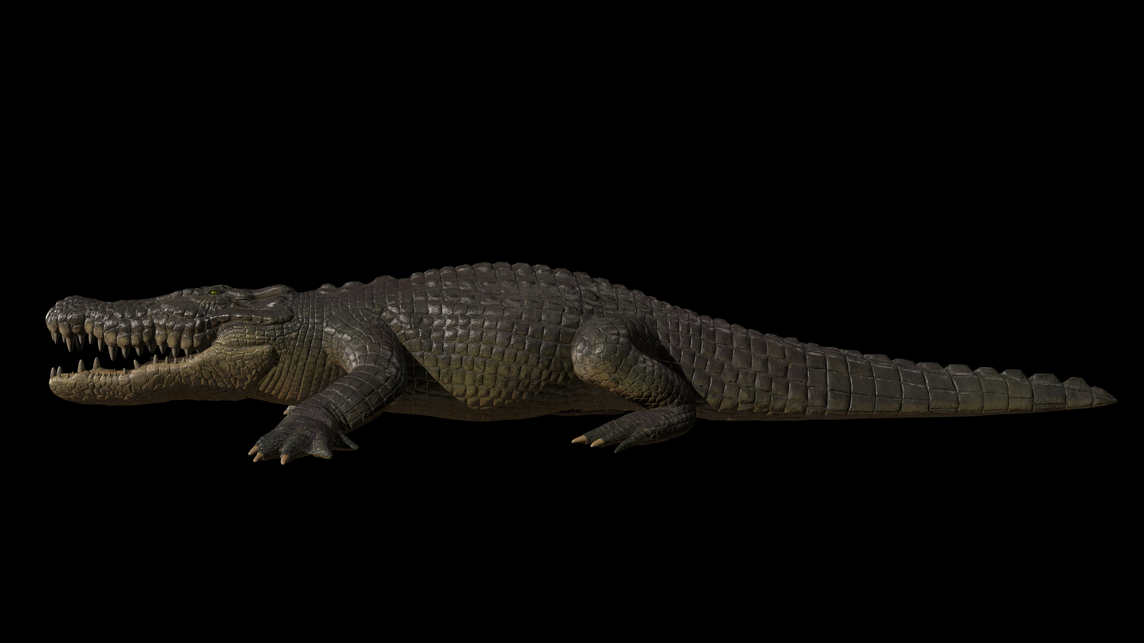 High-Quality Crocodile 3D Model Low Poly 4K PBR Maps Low-poly 3D model_2