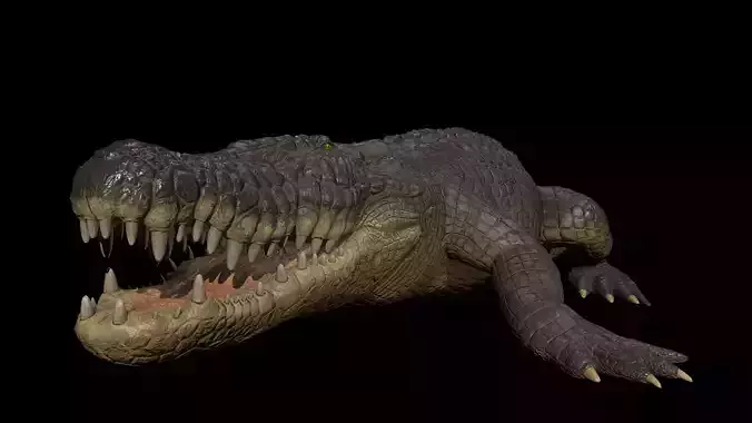 High-Quality Crocodile 3D Model Low Poly  4K PBR Maps