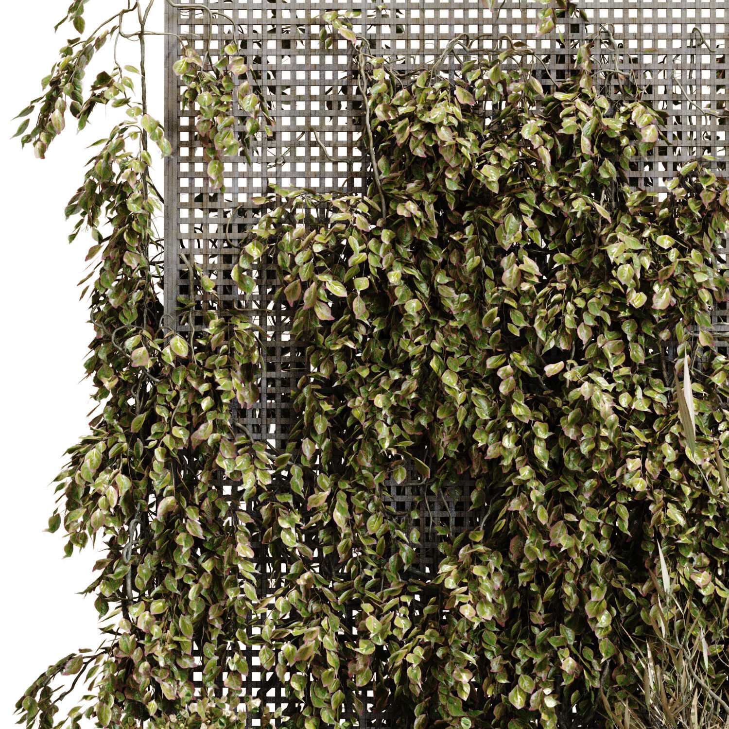 collection of 5 courtyard 3d model vol 011 3D model_2