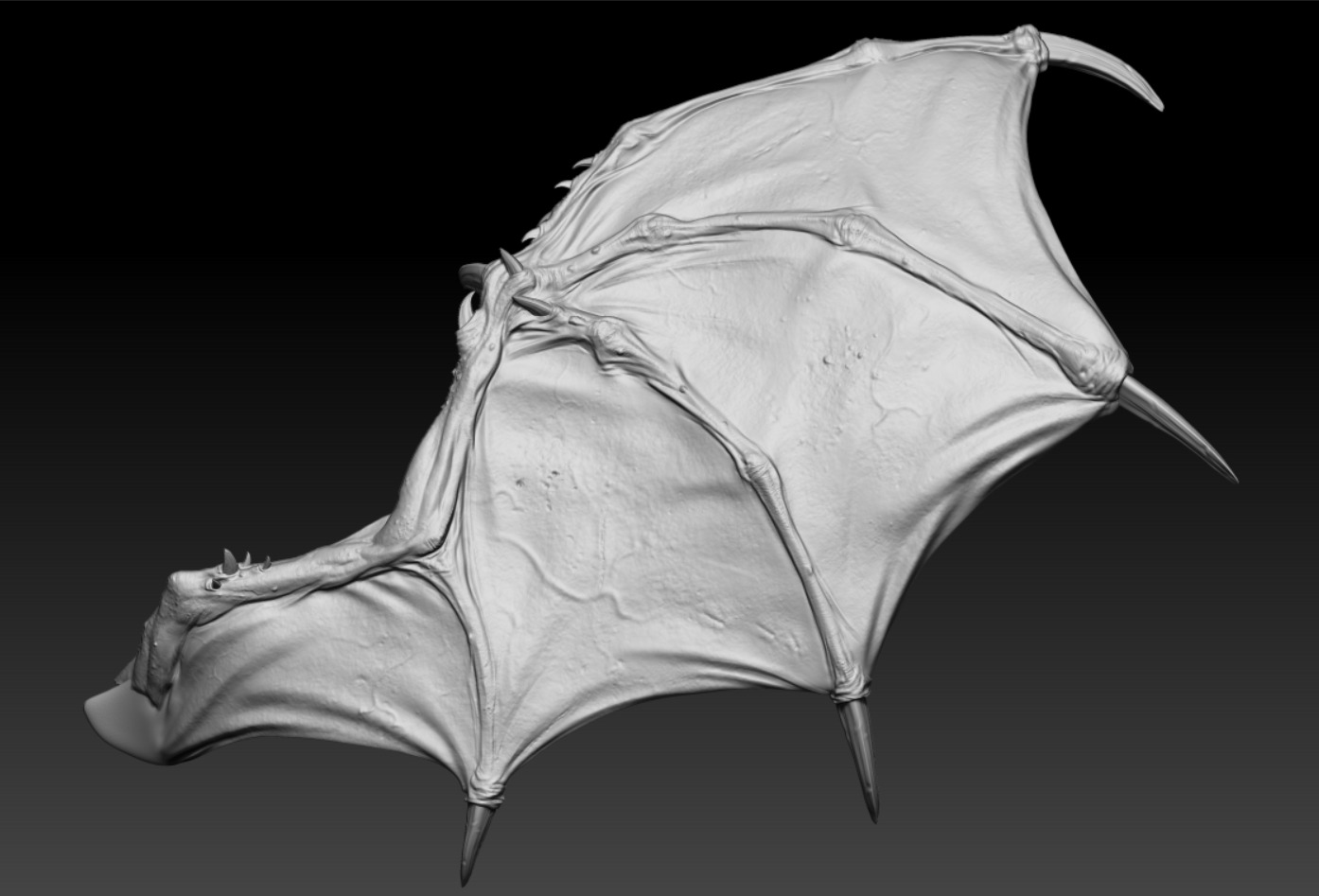 Demon Wings high poly  3D model_2
