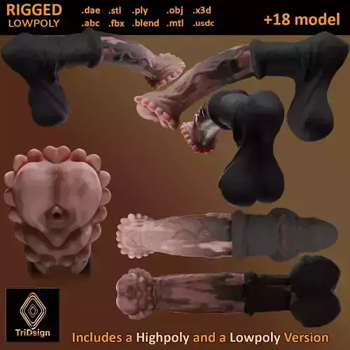 Anatomy Horse Rigged Penis Highpoly and Lowpoly Low-poly 3D model