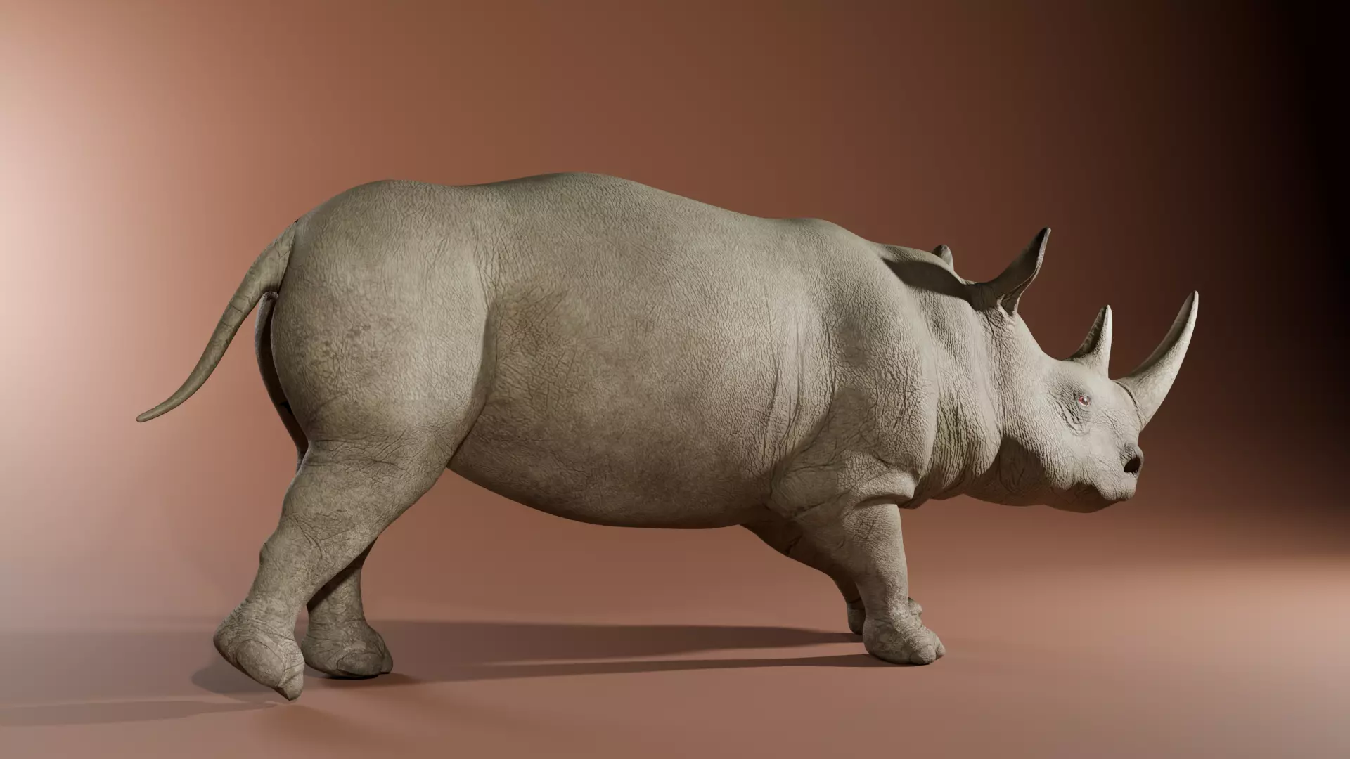 Rhinoceros 3D model_2