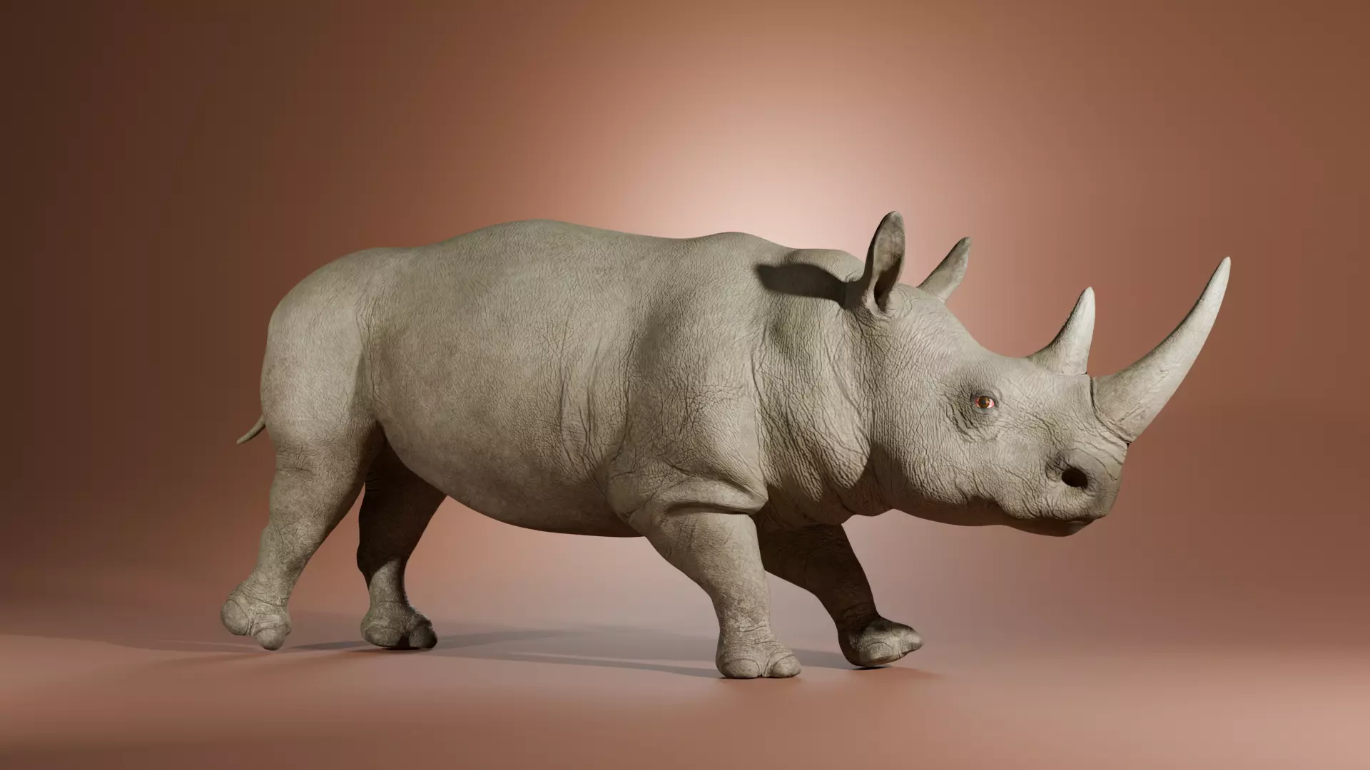 Rhinoceros 3D model_0