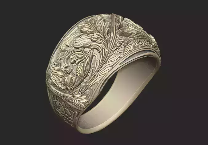 The Royal power ring king gothic kingdom knight organic