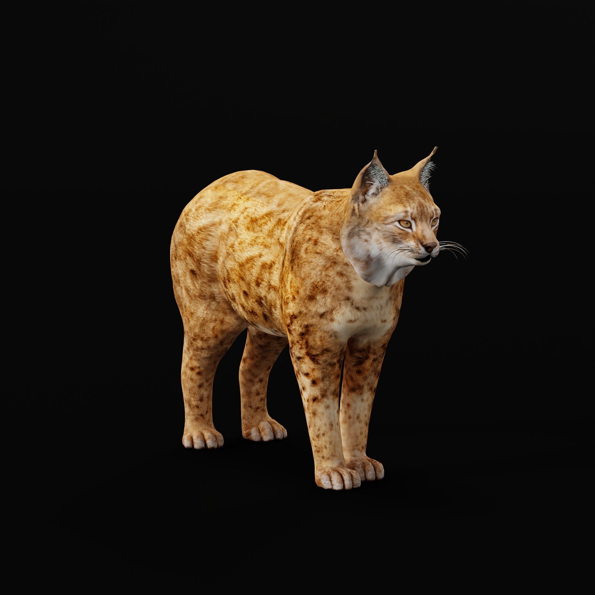 Northern Eurasian Lynx Low-poly 3D model_54
