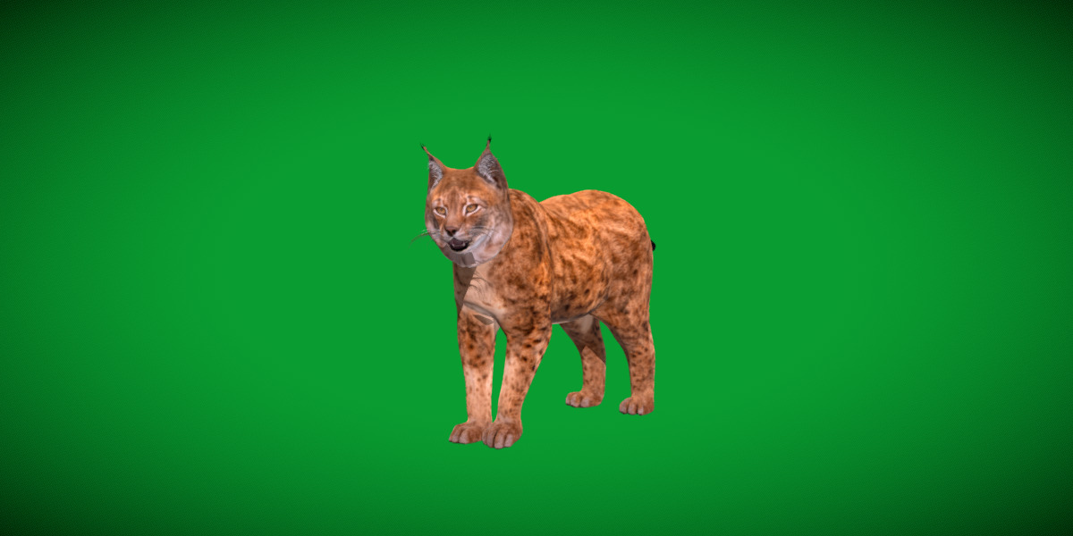 Northern Eurasian Lynx Low-poly 3D model_8