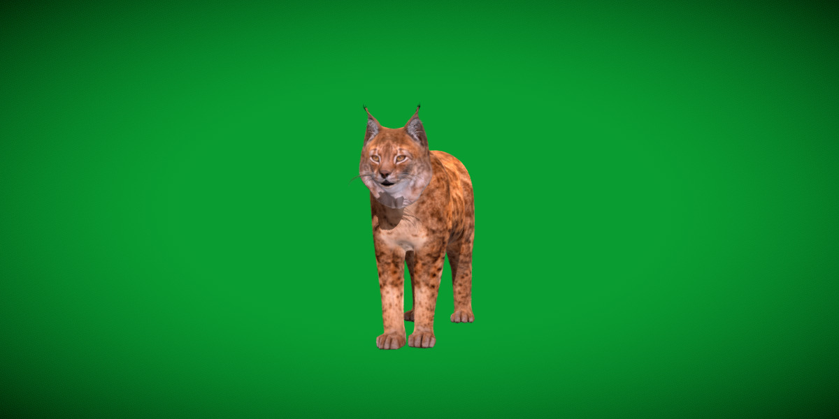 Northern Eurasian Lynx Low-poly 3D model_9