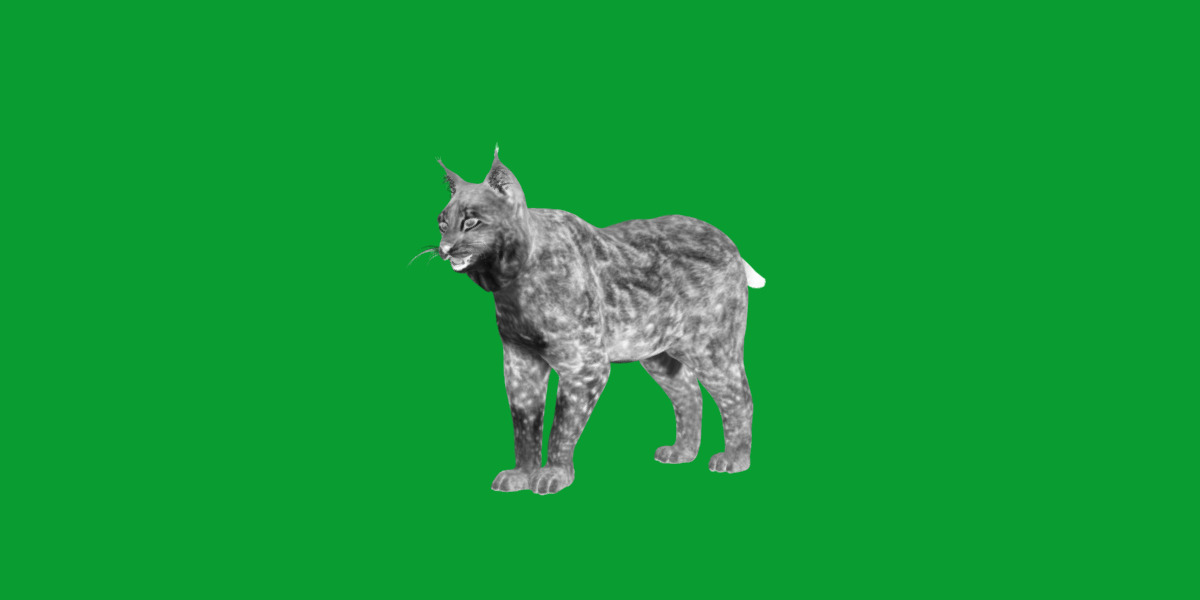 Northern Eurasian Lynx Low-poly 3D model_25