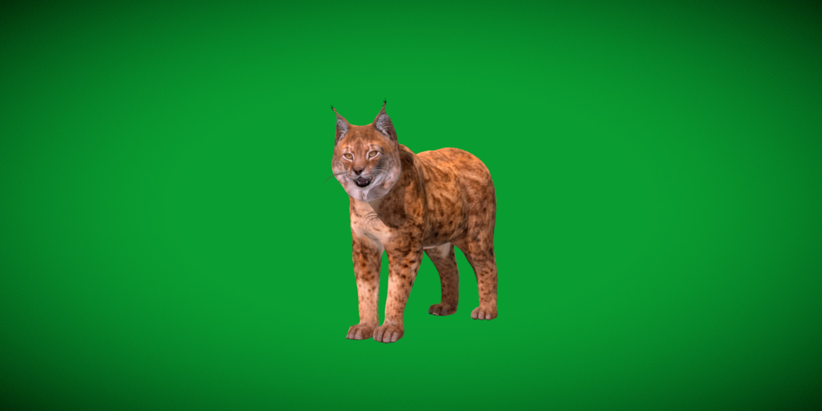 Northern Eurasian Lynx Low-poly 3D model_14