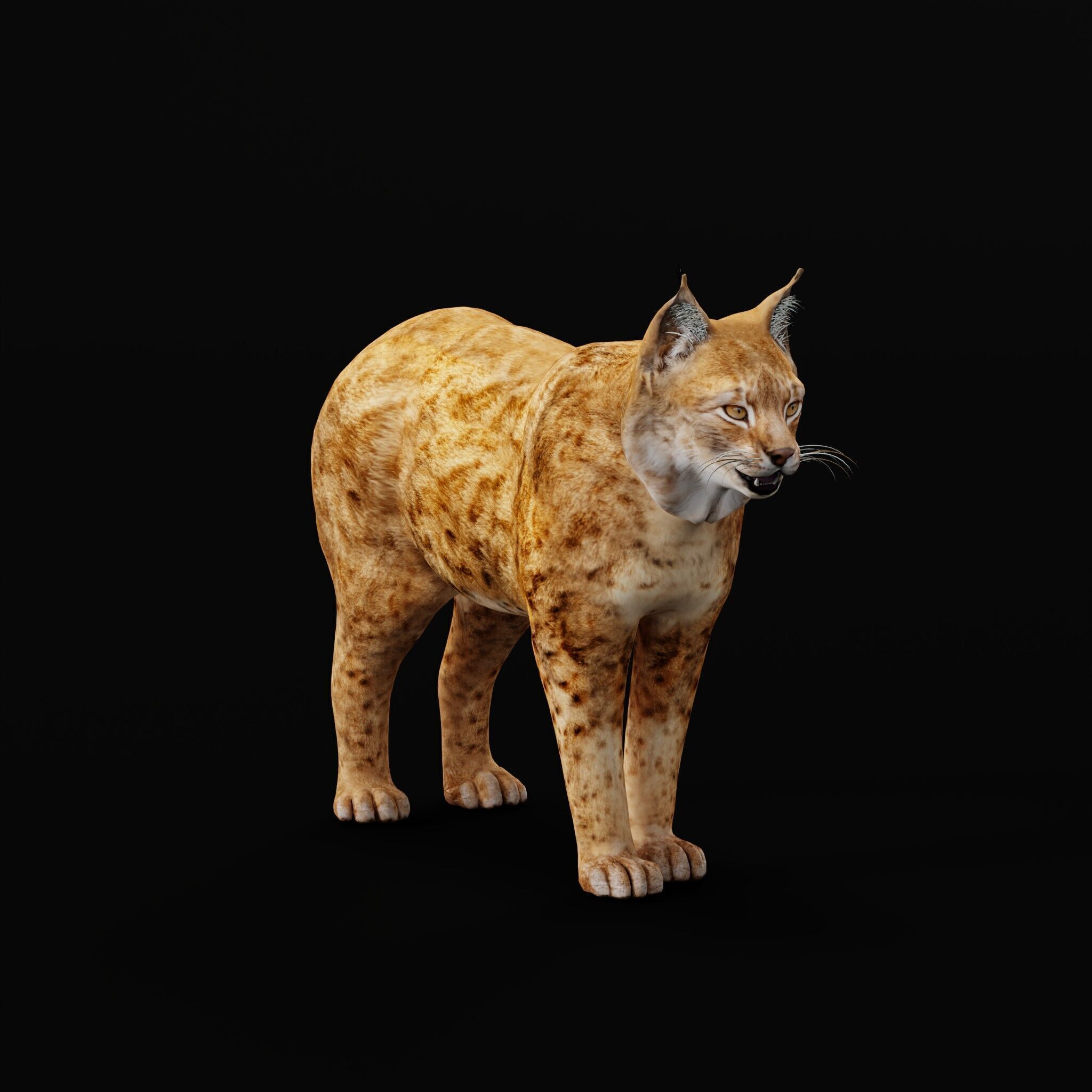 Northern Eurasian Lynx Low-poly 3D model_42