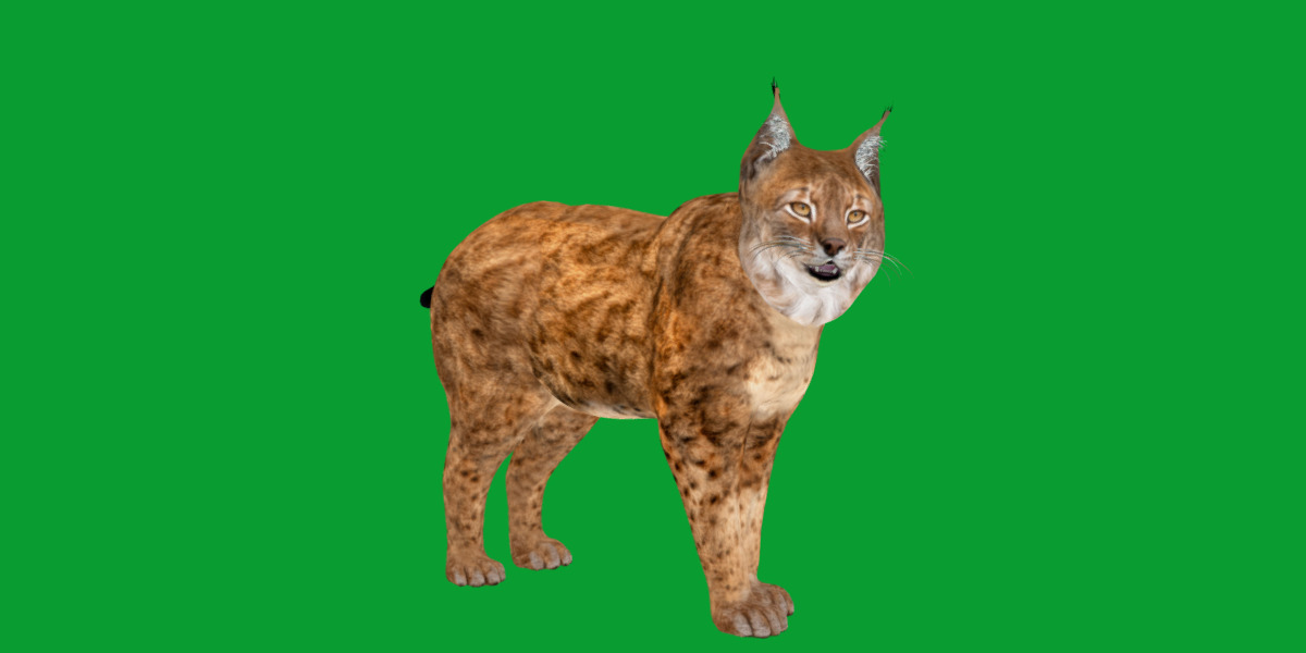Northern Eurasian Lynx Low-poly 3D model_38