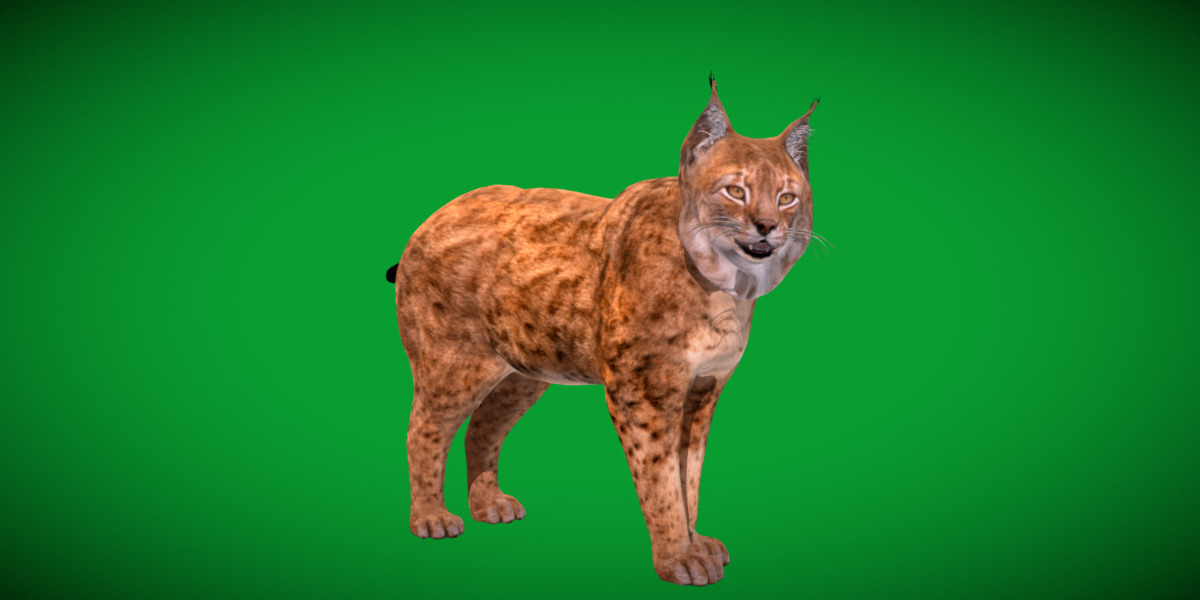 Northern Eurasian Lynx Low-poly 3D model_39