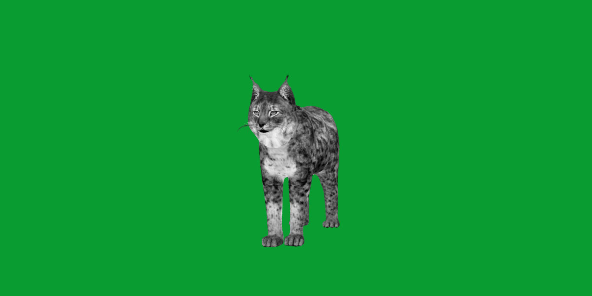 Northern Eurasian Lynx Low-poly 3D model_24