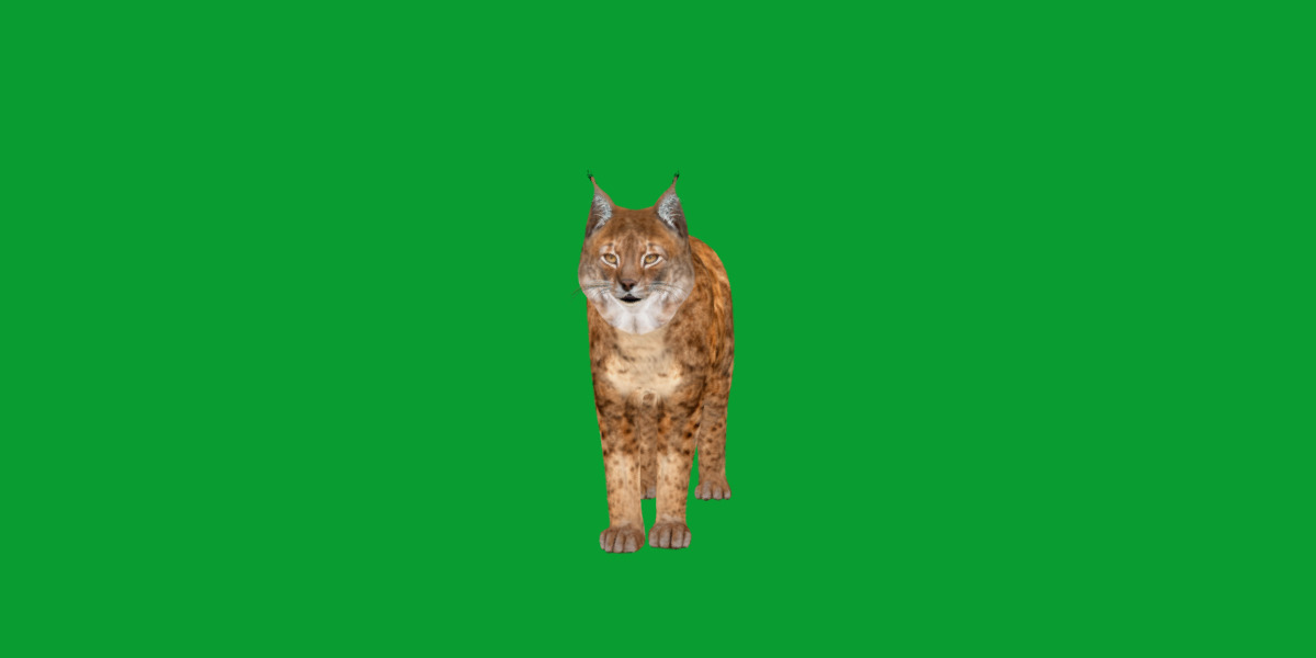 Northern Eurasian Lynx Low-poly 3D model_11