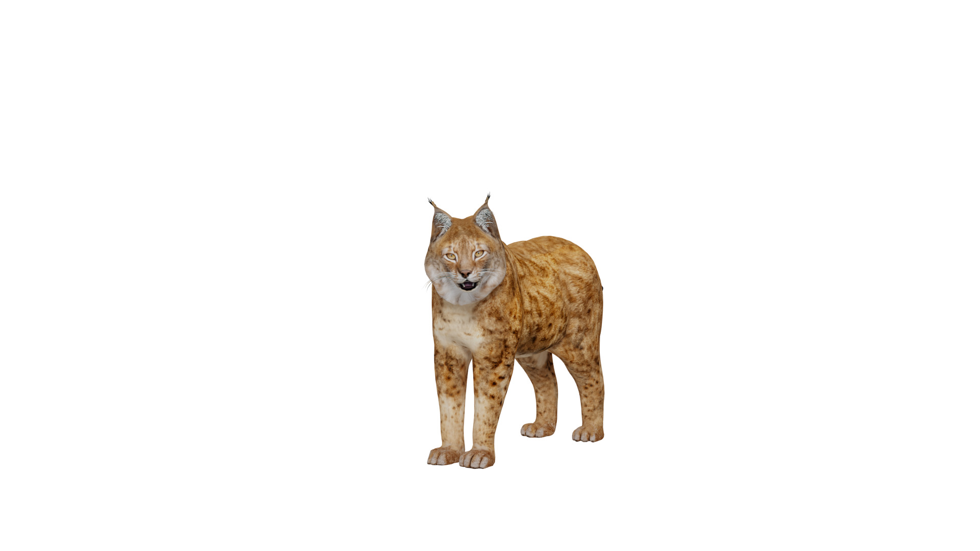 Northern Eurasian Lynx Low-poly 3D model_43