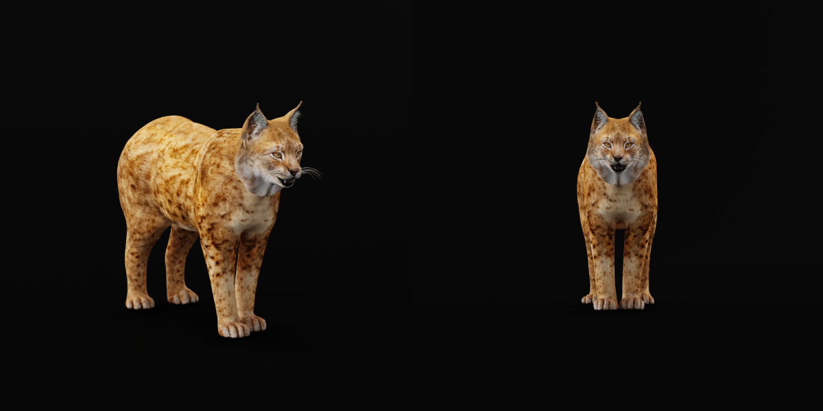 Northern Eurasian Lynx Low-poly 3D model_5