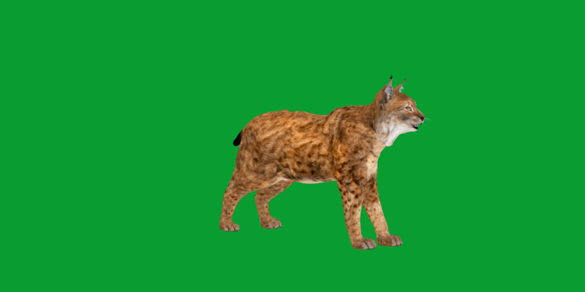 Northern Eurasian Lynx Low-poly 3D model_29