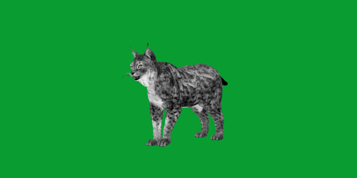 Northern Eurasian Lynx Low-poly 3D model_23