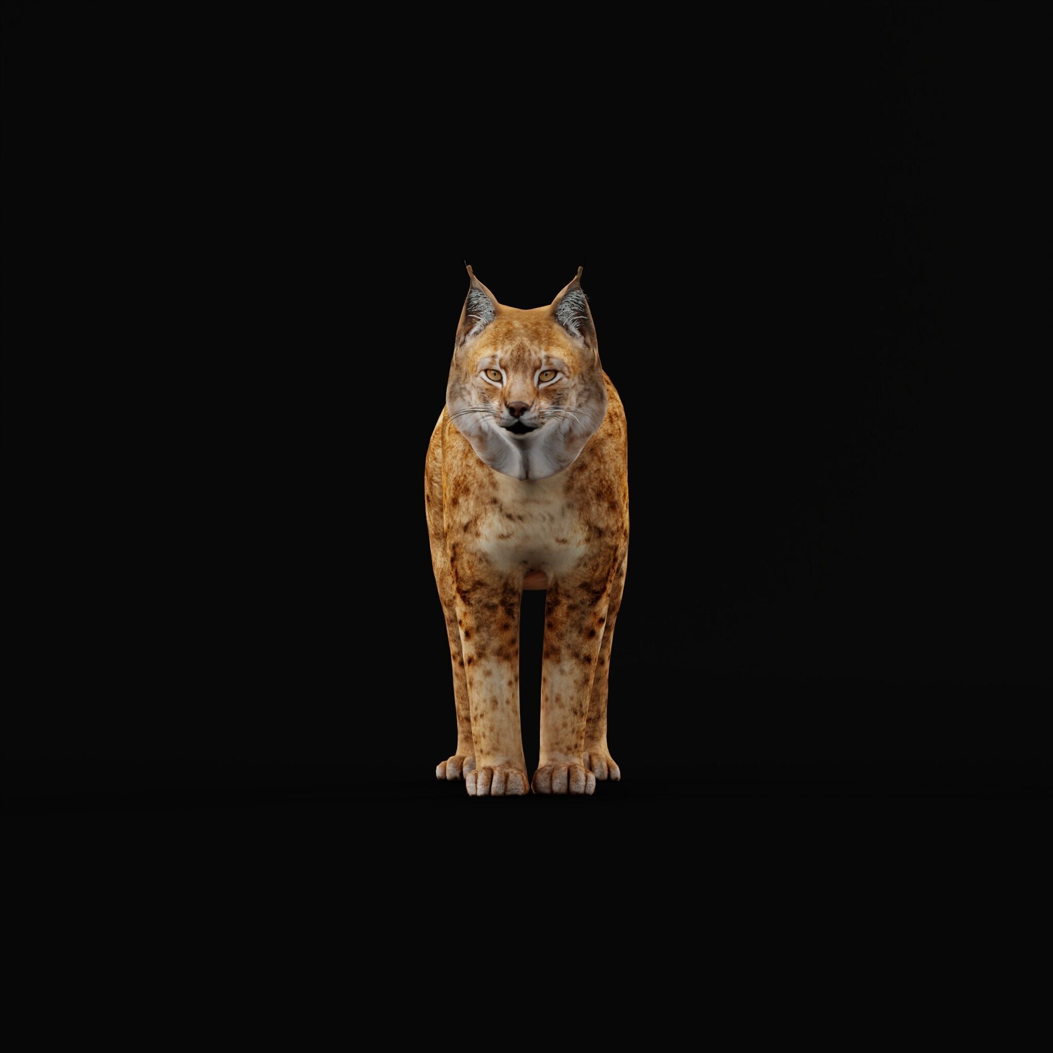 Northern Eurasian Lynx Low-poly 3D model_52