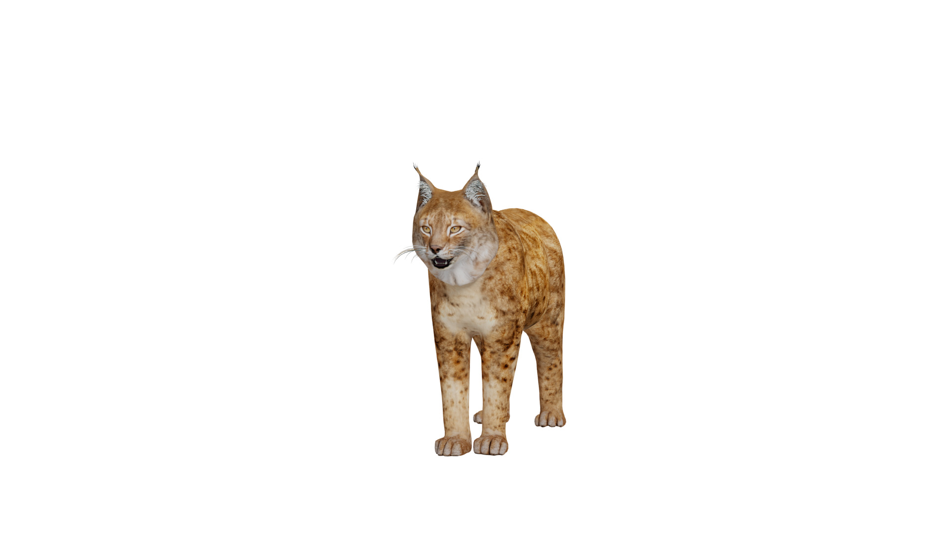 Northern Eurasian Lynx Low-poly 3D model_46
