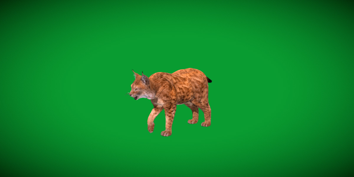 Northern Eurasian Lynx Low-poly 3D model_40