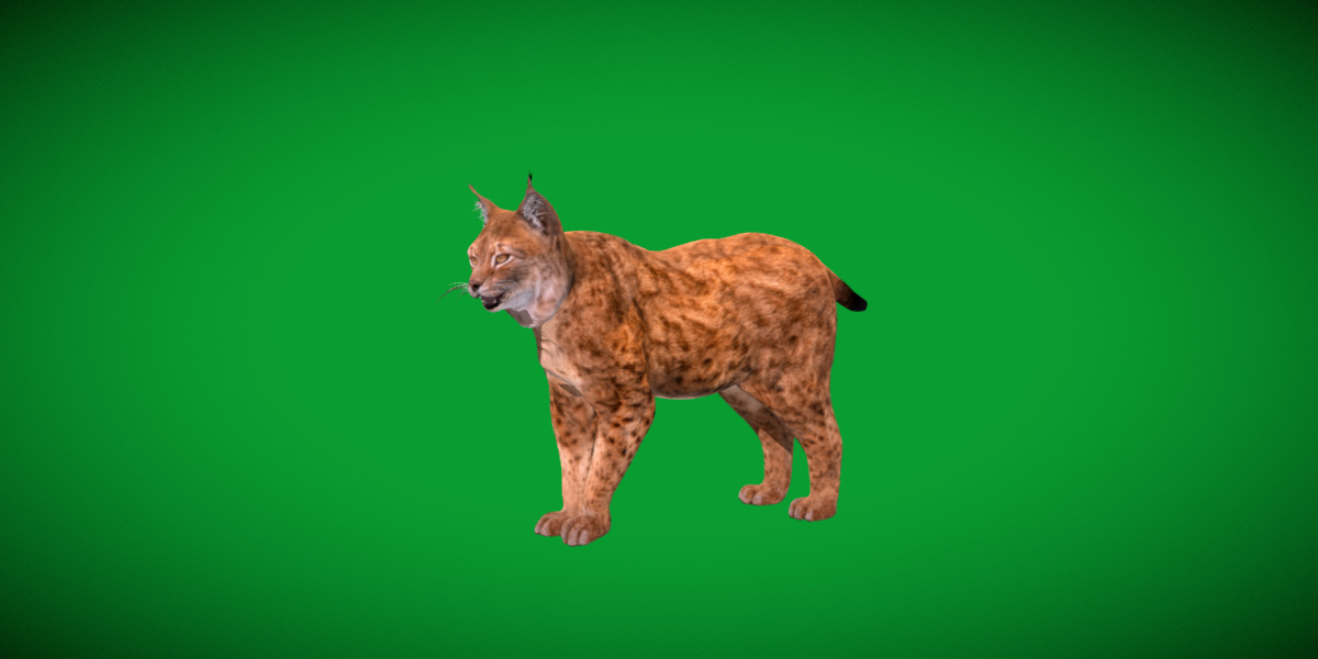 Northern Eurasian Lynx Low-poly 3D model_7