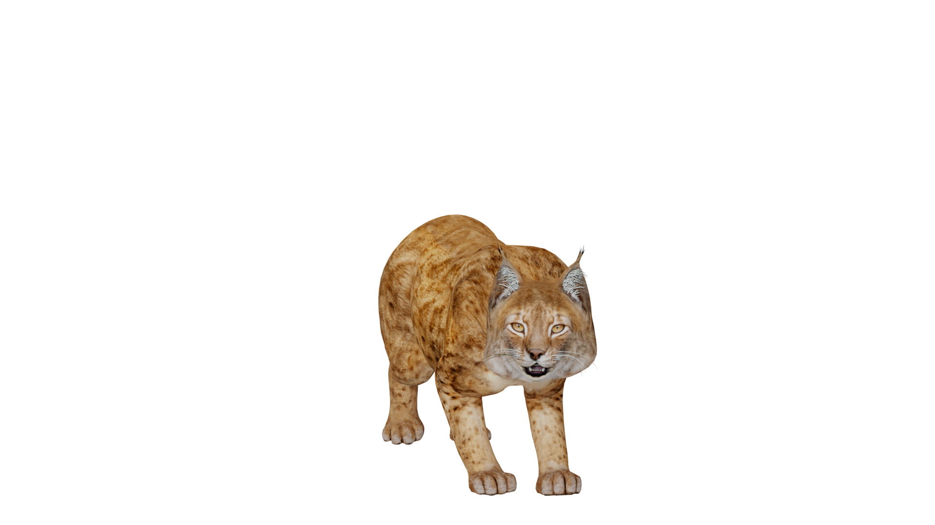 Northern Eurasian Lynx Low-poly 3D model_53