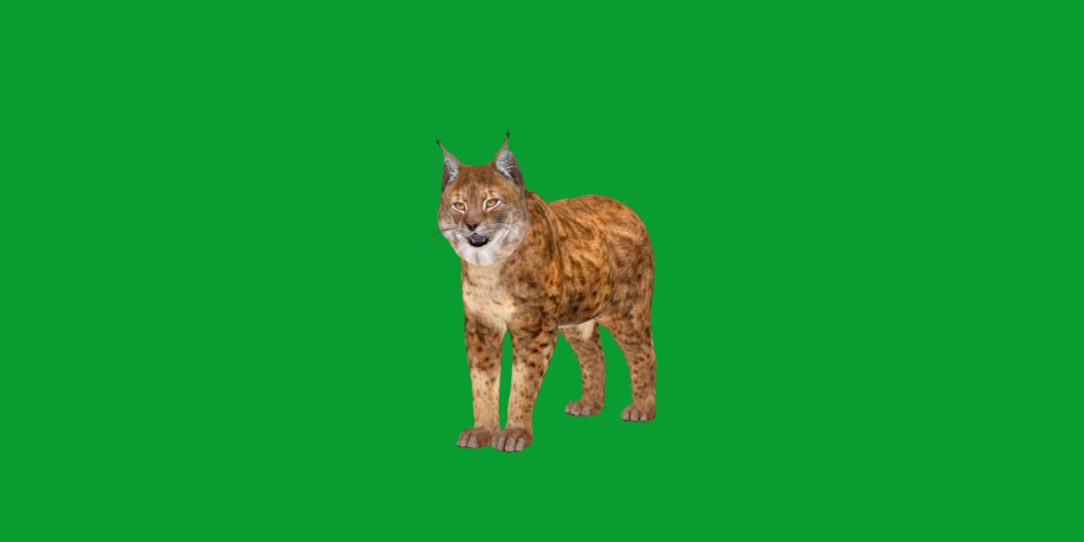 Northern Eurasian Lynx Low-poly 3D model_4