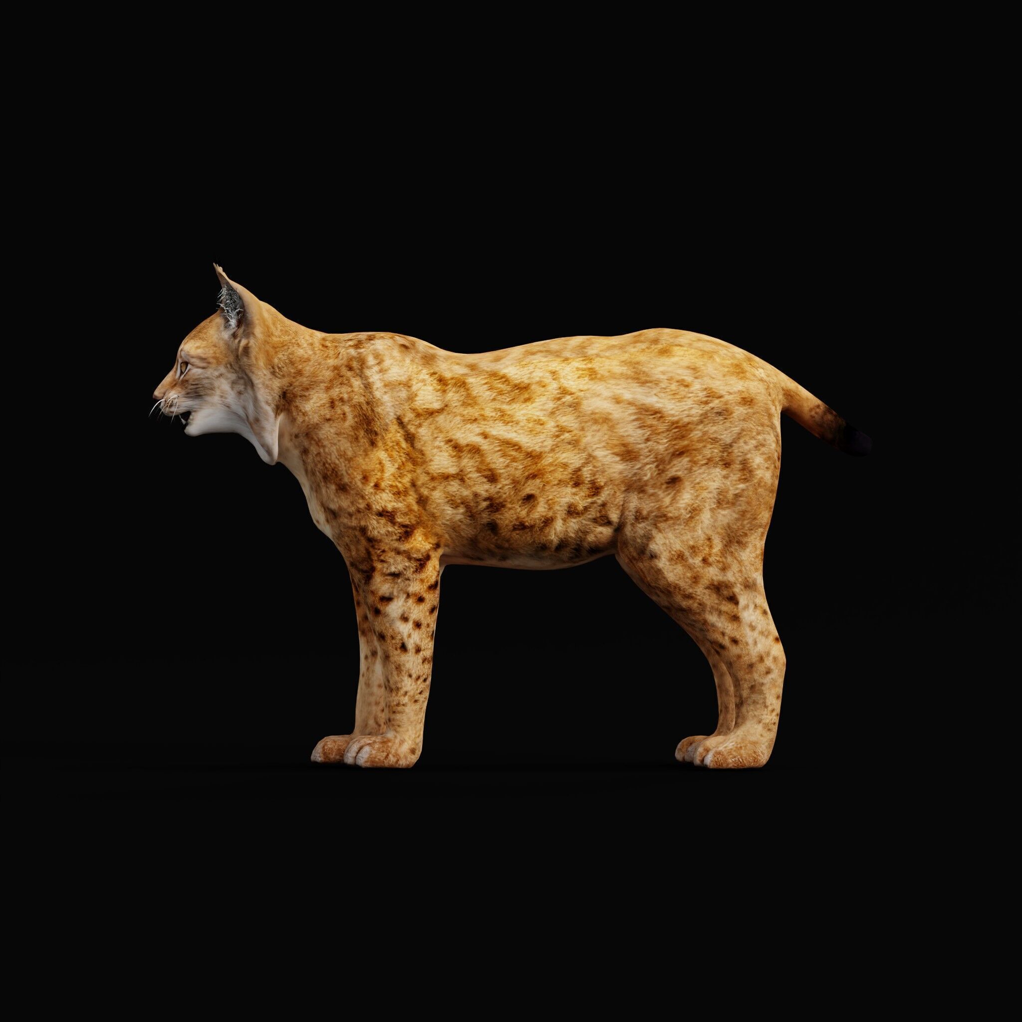 Northern Eurasian Lynx Low-poly 3D model_55