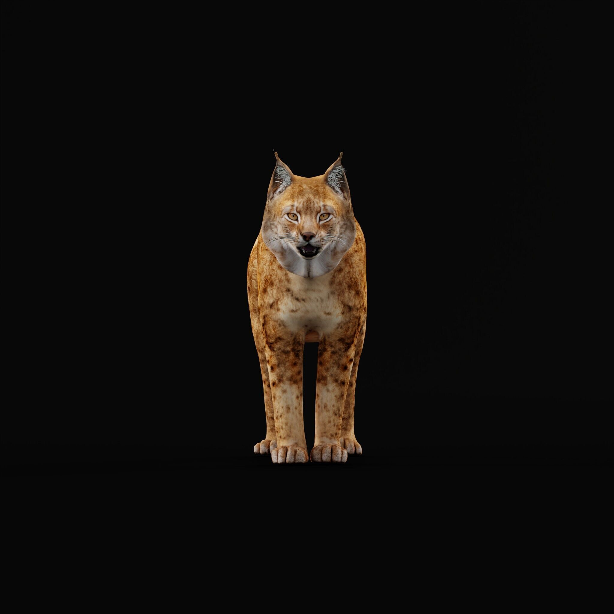 Northern Eurasian Lynx Low-poly 3D model_44