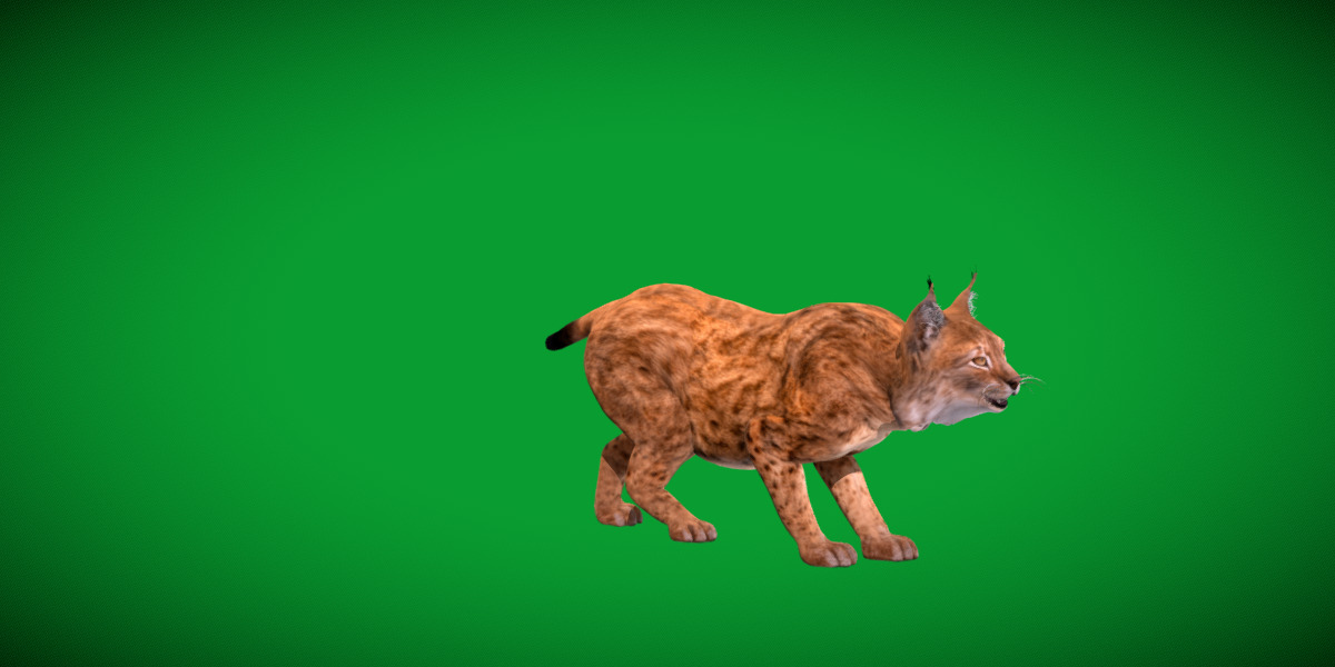 Northern Eurasian Lynx Low-poly 3D model_15