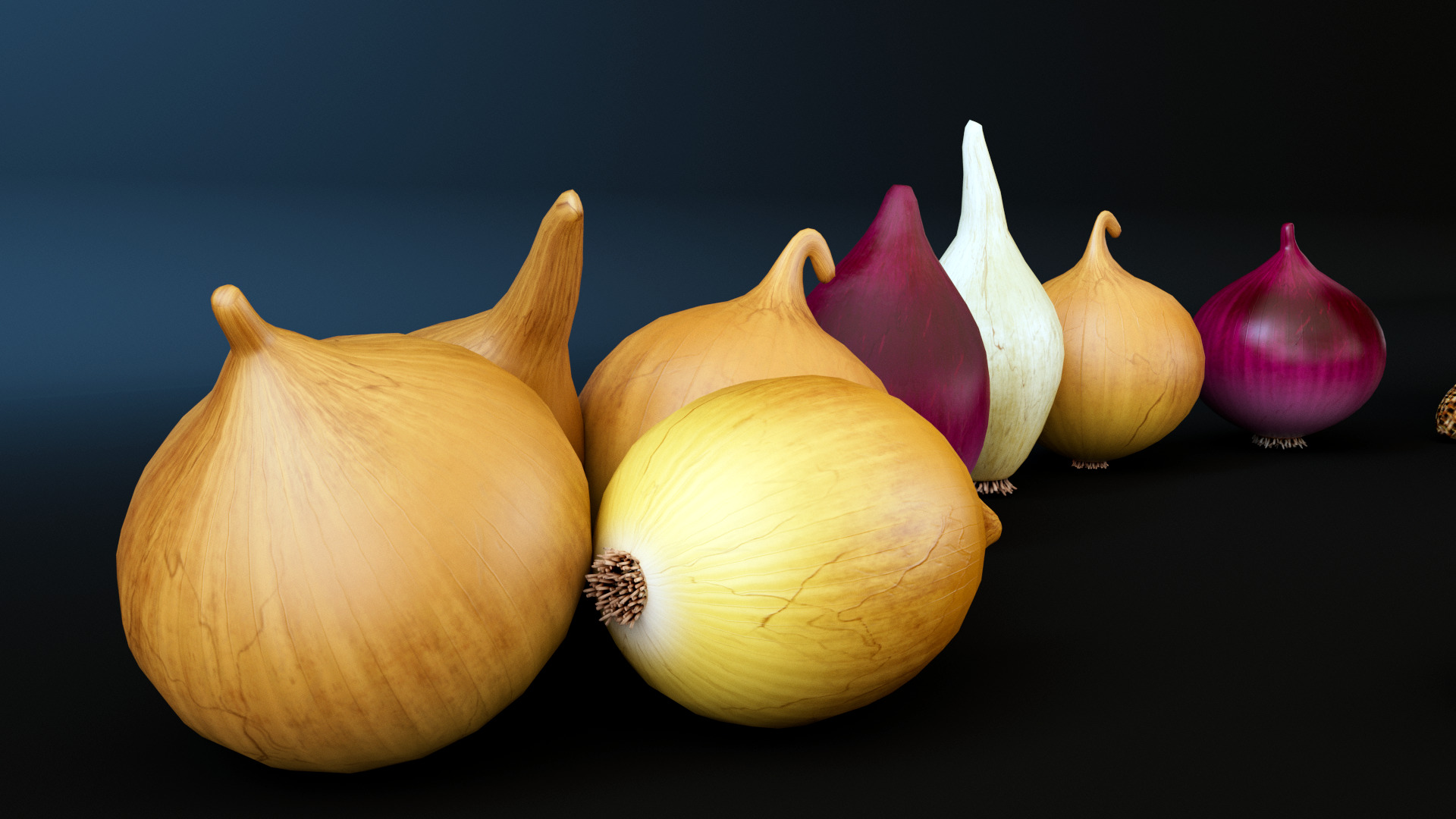 Onion 3D model_7