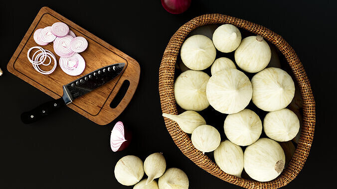 Onion 3D model 7