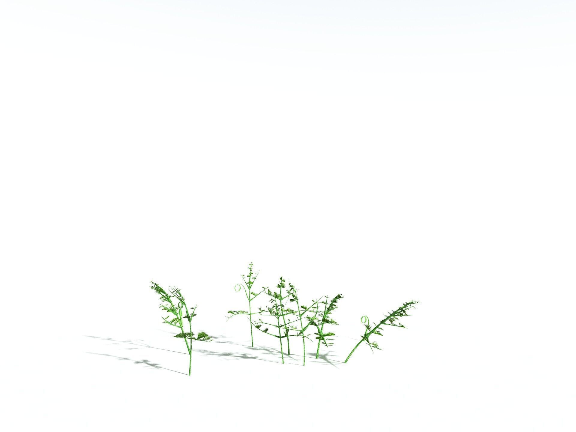 EVERYPlant Bracken 3D model_30
