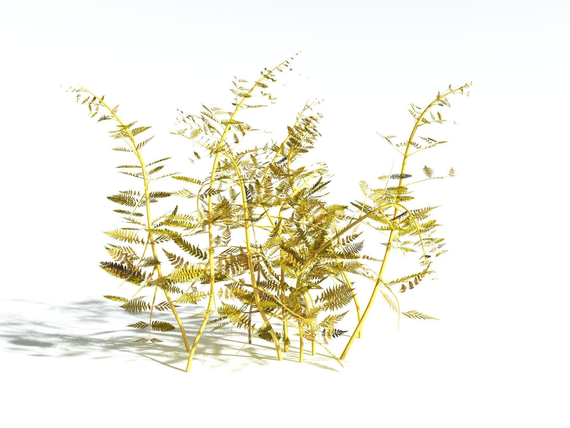 EVERYPlant Bracken 3D model_10