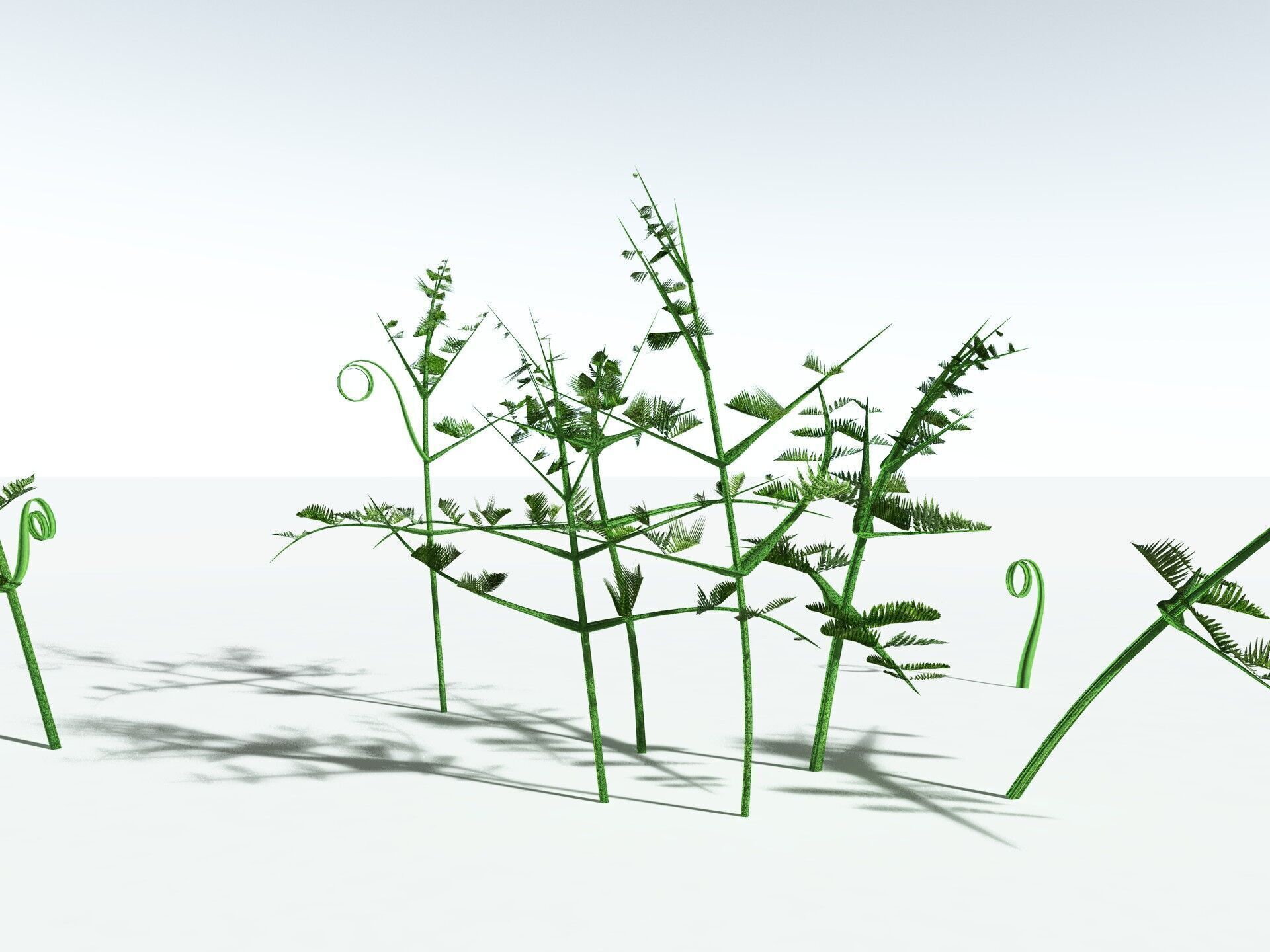 EVERYPlant Bracken 3D model_31