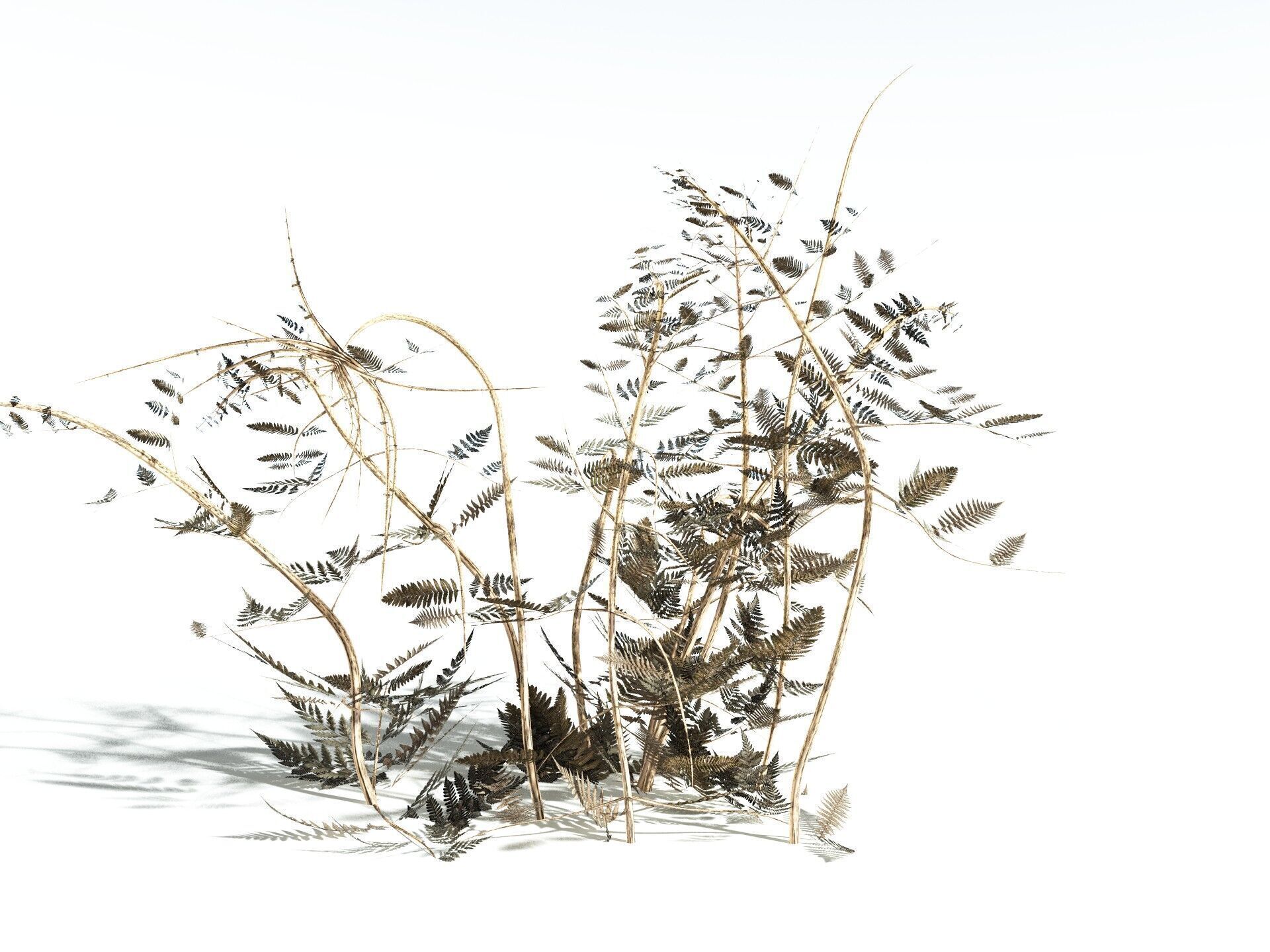 EVERYPlant Bracken 3D model_12