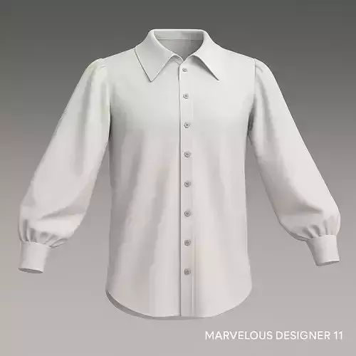 Classic Elegant Blouse